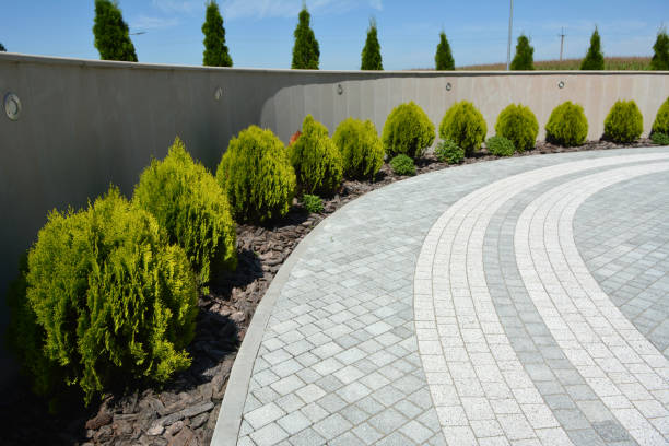 Best Driveway Paving Contractor  in Leonard, TX